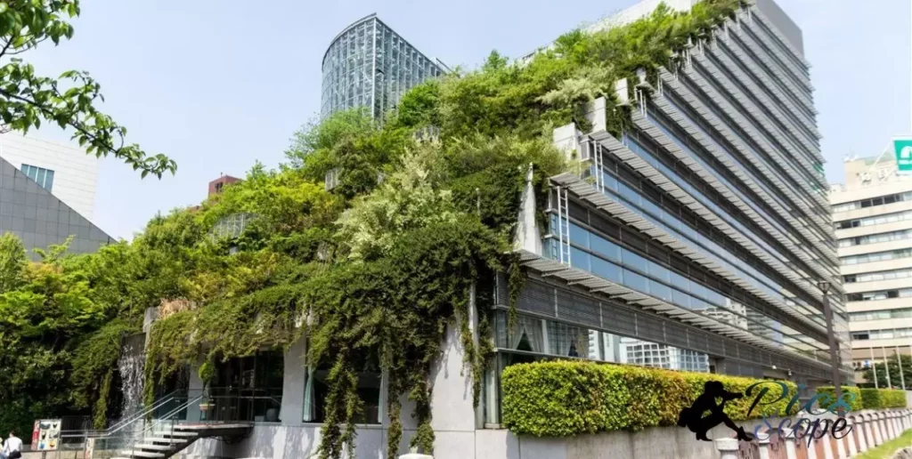 Which Sustainable Building Practice Does The Photograph Show